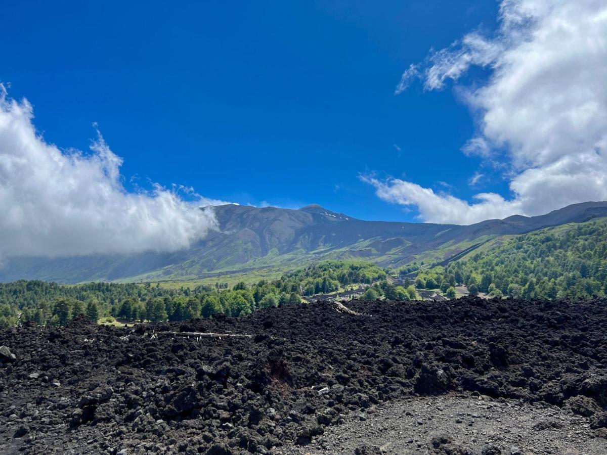 Etna City Home Accogliente Nel Cuore Di Catania Bagian luar foto