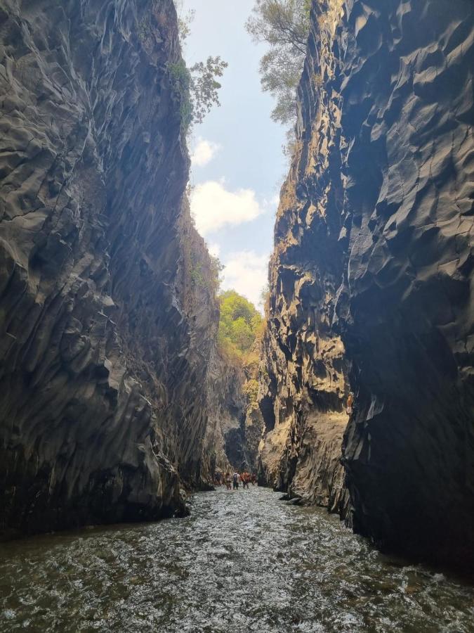Etna City Home Accogliente Nel Cuore Di Catania Bagian luar foto